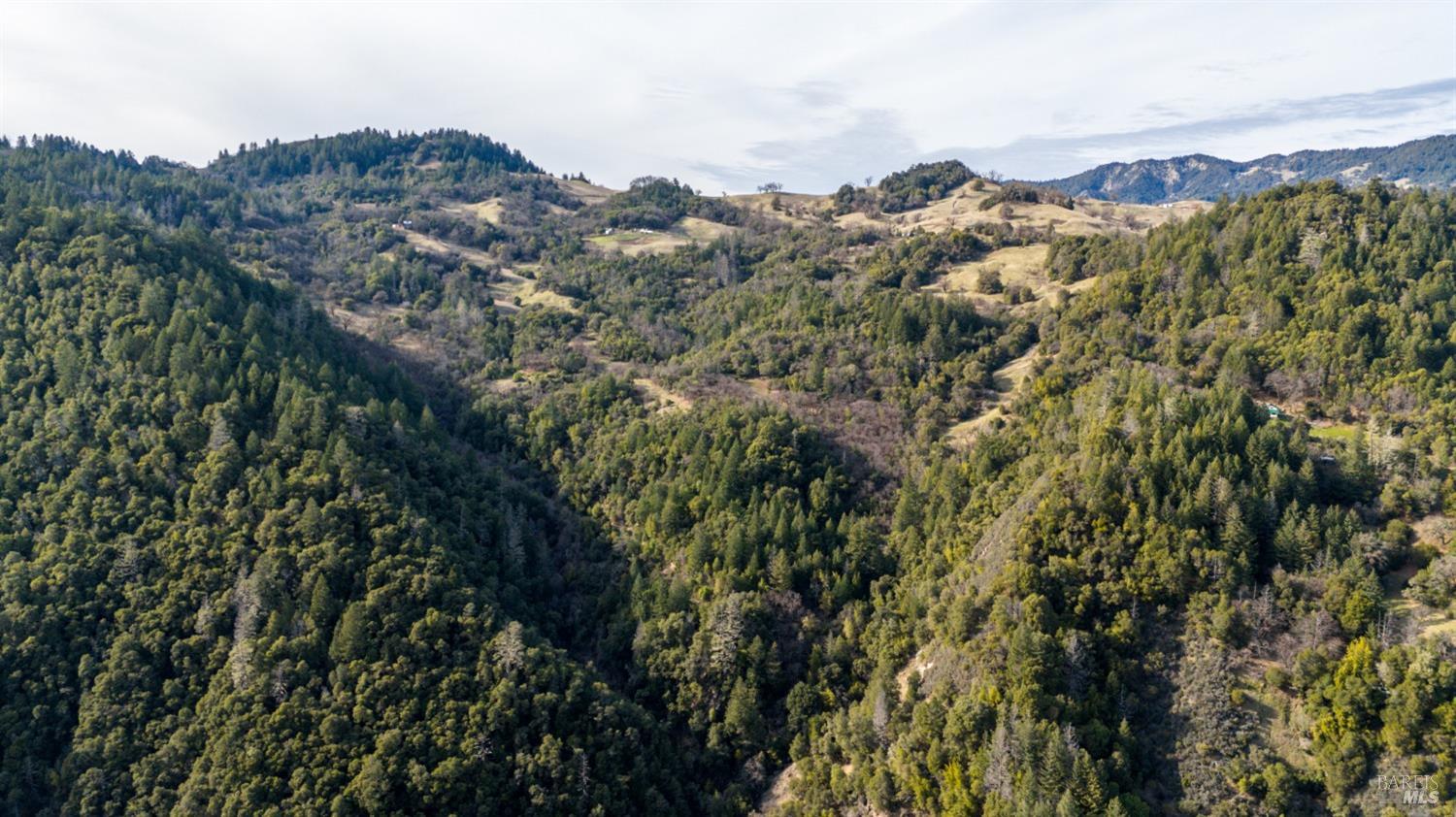 Detail Gallery Image 19 of 23 For 4450 Woodman Creek Rd, Laytonville,  CA 95454 - 2 Beds | 1 Baths