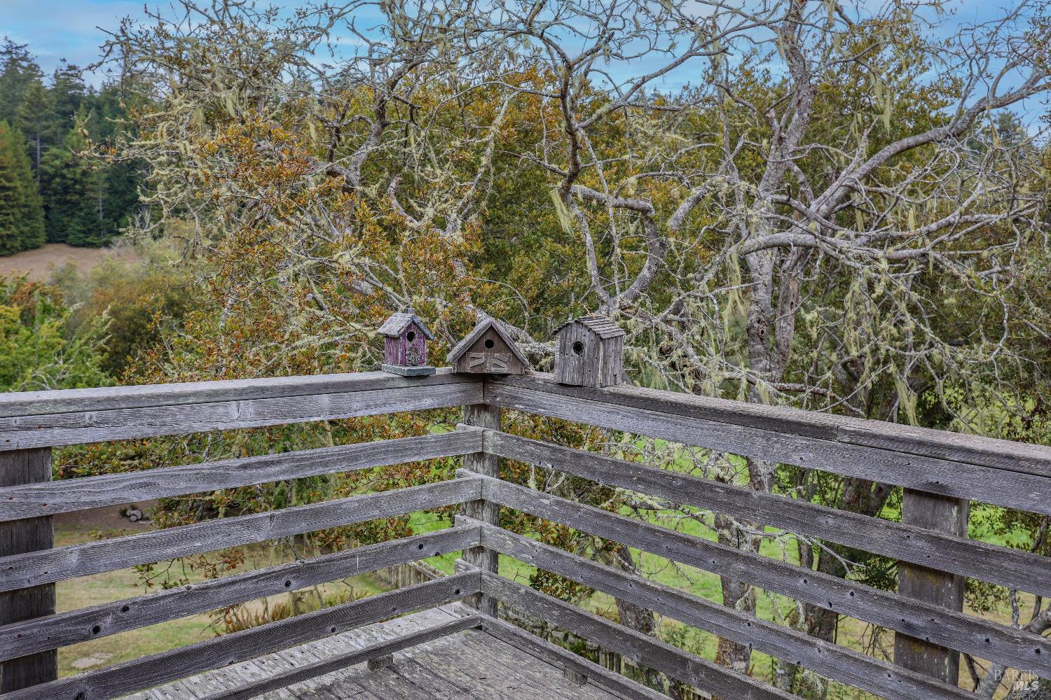 Detail Gallery Image 51 of 74 For 31600 Little Valley Rd, Fort Bragg,  CA 95437 - 3 Beds | 2 Baths