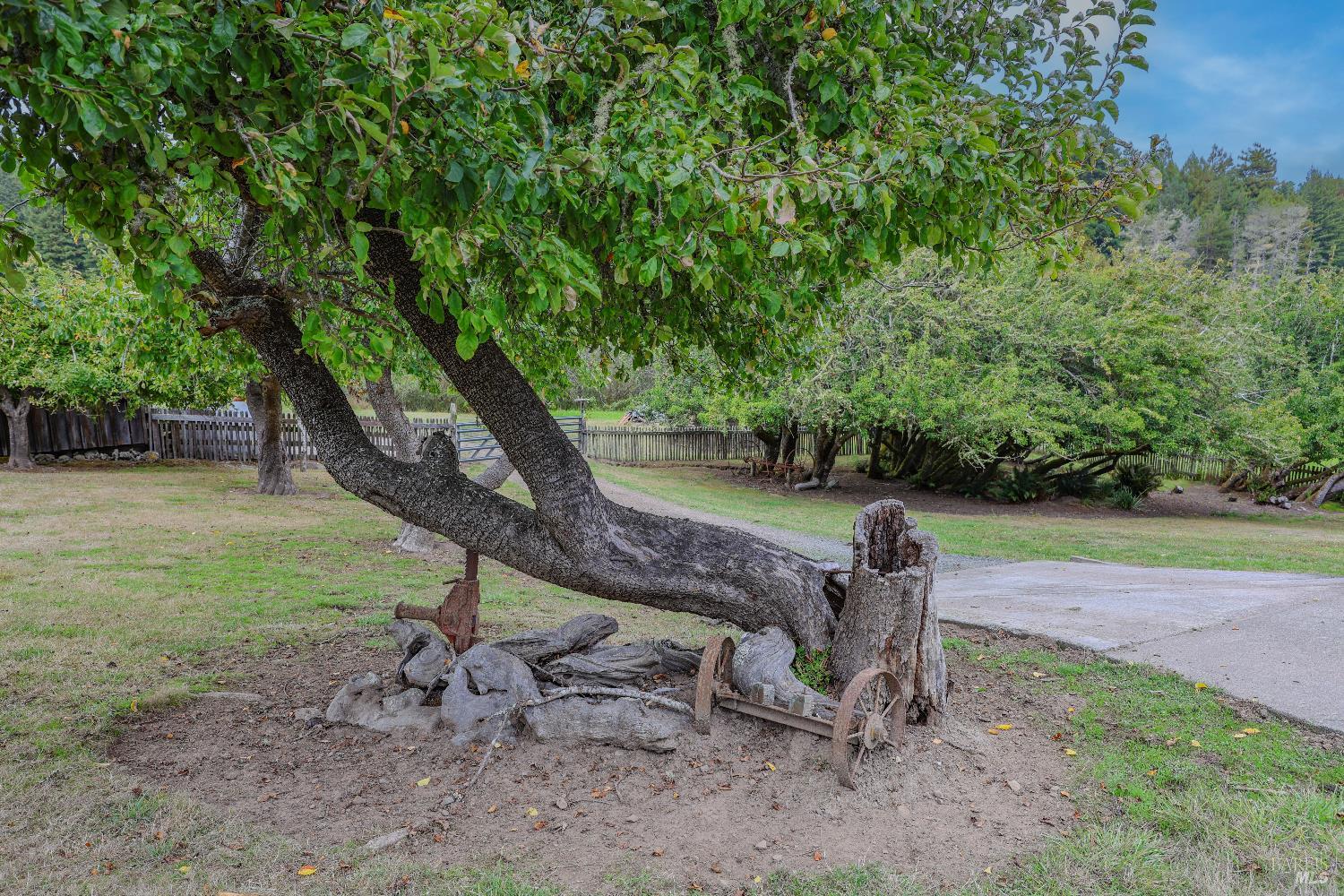 Detail Gallery Image 57 of 74 For 31600 Little Valley Rd, Fort Bragg,  CA 95437 - 3 Beds | 2 Baths