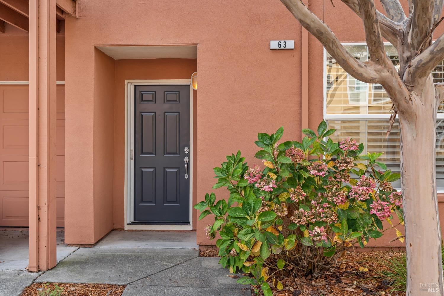 Detail Gallery Image 3 of 38 For 63 Gann Way, Novato,  CA 94949 - 2 Beds | 2/1 Baths