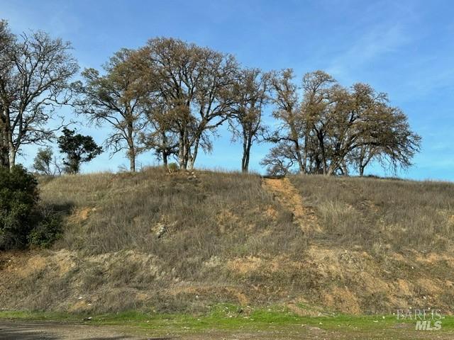 Detail Gallery Image 8 of 19 For 2900 Carson St, Upper Lake,  CA 95485 - – Beds | – Baths