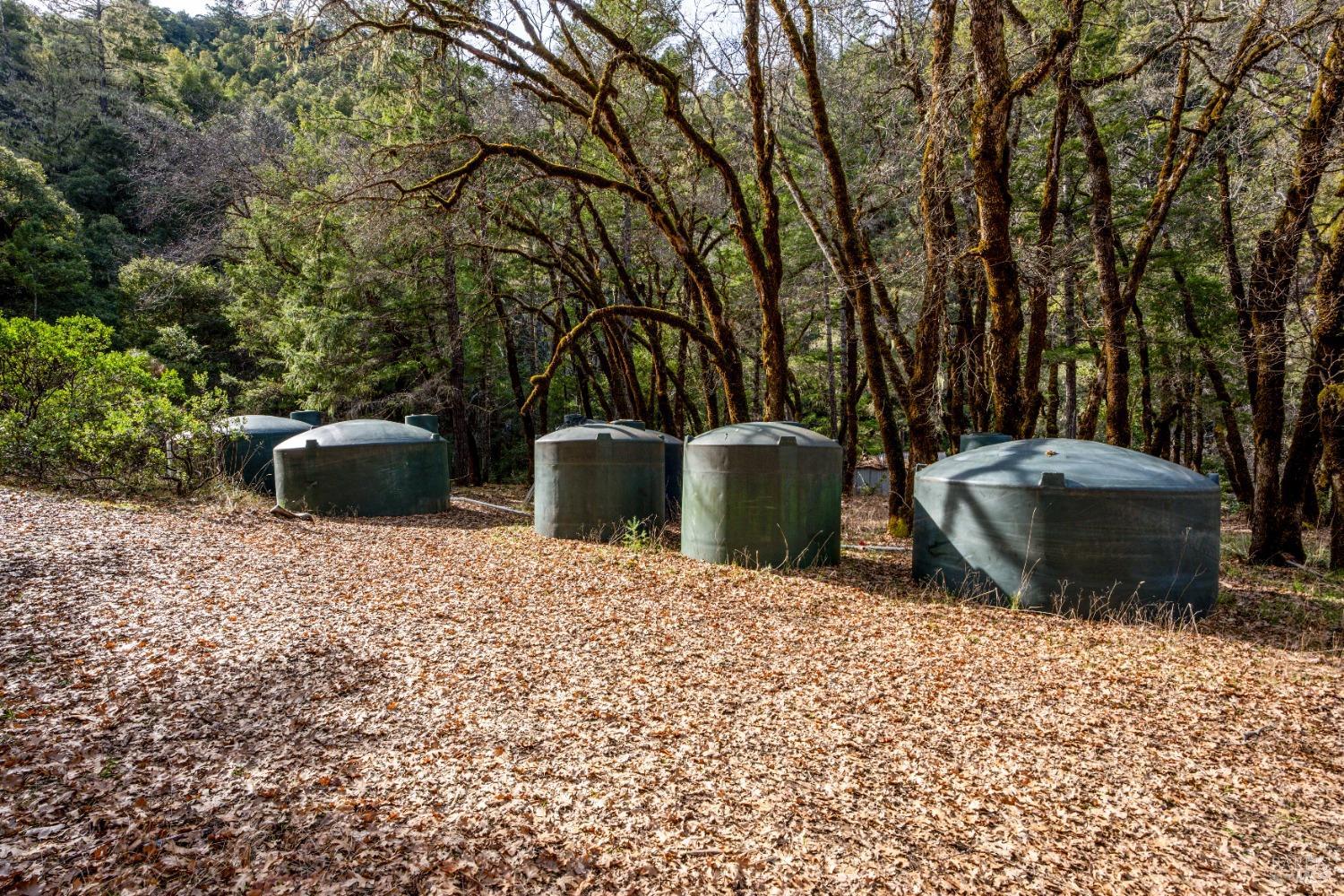 Detail Gallery Image 16 of 23 For 4450 Woodman Creek Rd, Laytonville,  CA 95454 - 2 Beds | 1 Baths