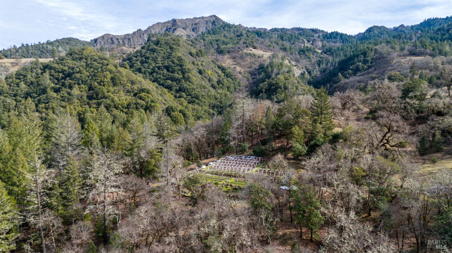 Detail Gallery Image 12 of 23 For 4450 Woodman Creek Rd, Laytonville,  CA 95454 - 2 Beds | 1 Baths