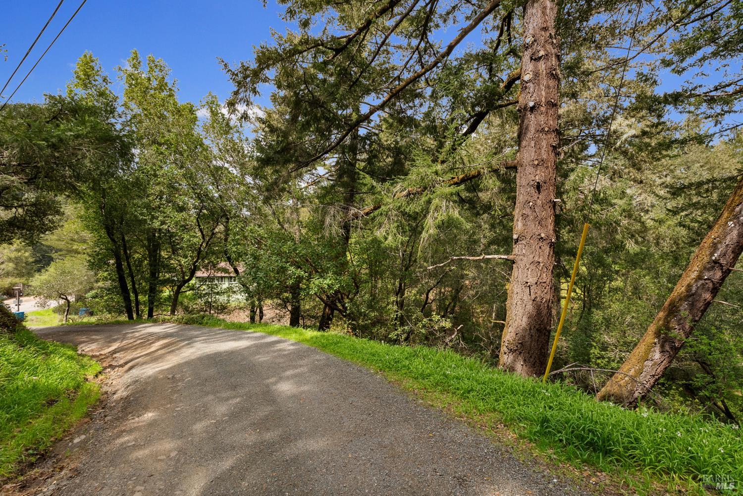 Detail Gallery Image 17 of 21 For 305 Resaca Ave, Forest Knolls,  CA 94133 - – Beds | – Baths