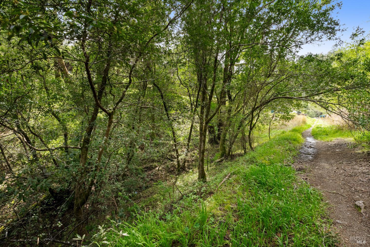 Detail Gallery Image 14 of 21 For 305 Resaca Ave, Forest Knolls,  CA 94133 - – Beds | – Baths