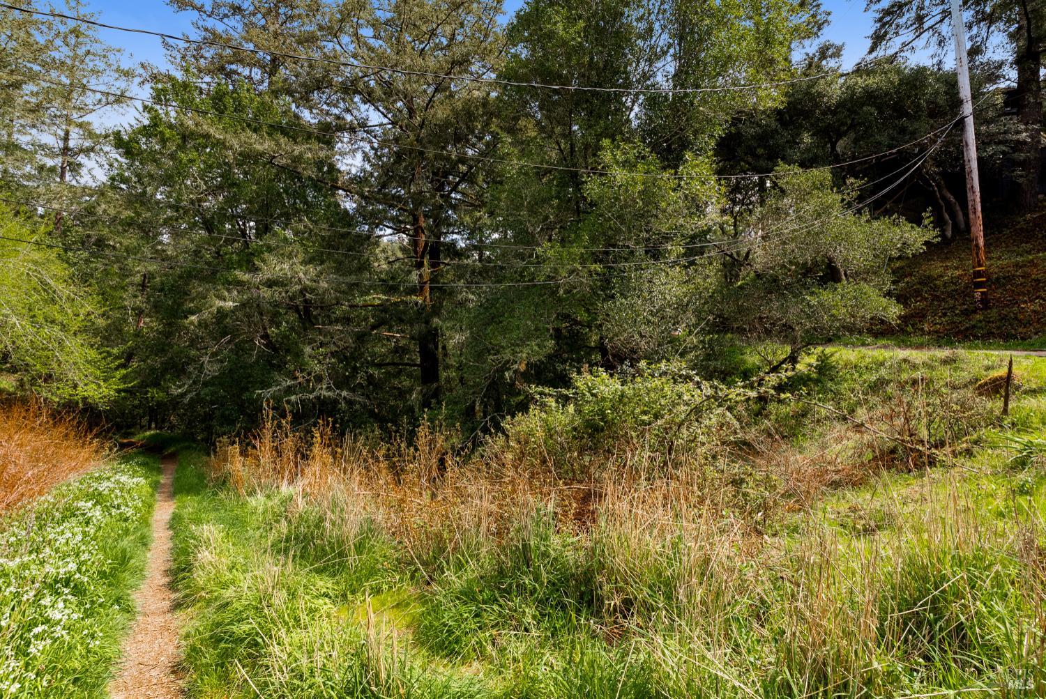 Detail Gallery Image 11 of 21 For 305 Resaca Ave, Forest Knolls,  CA 94133 - – Beds | – Baths