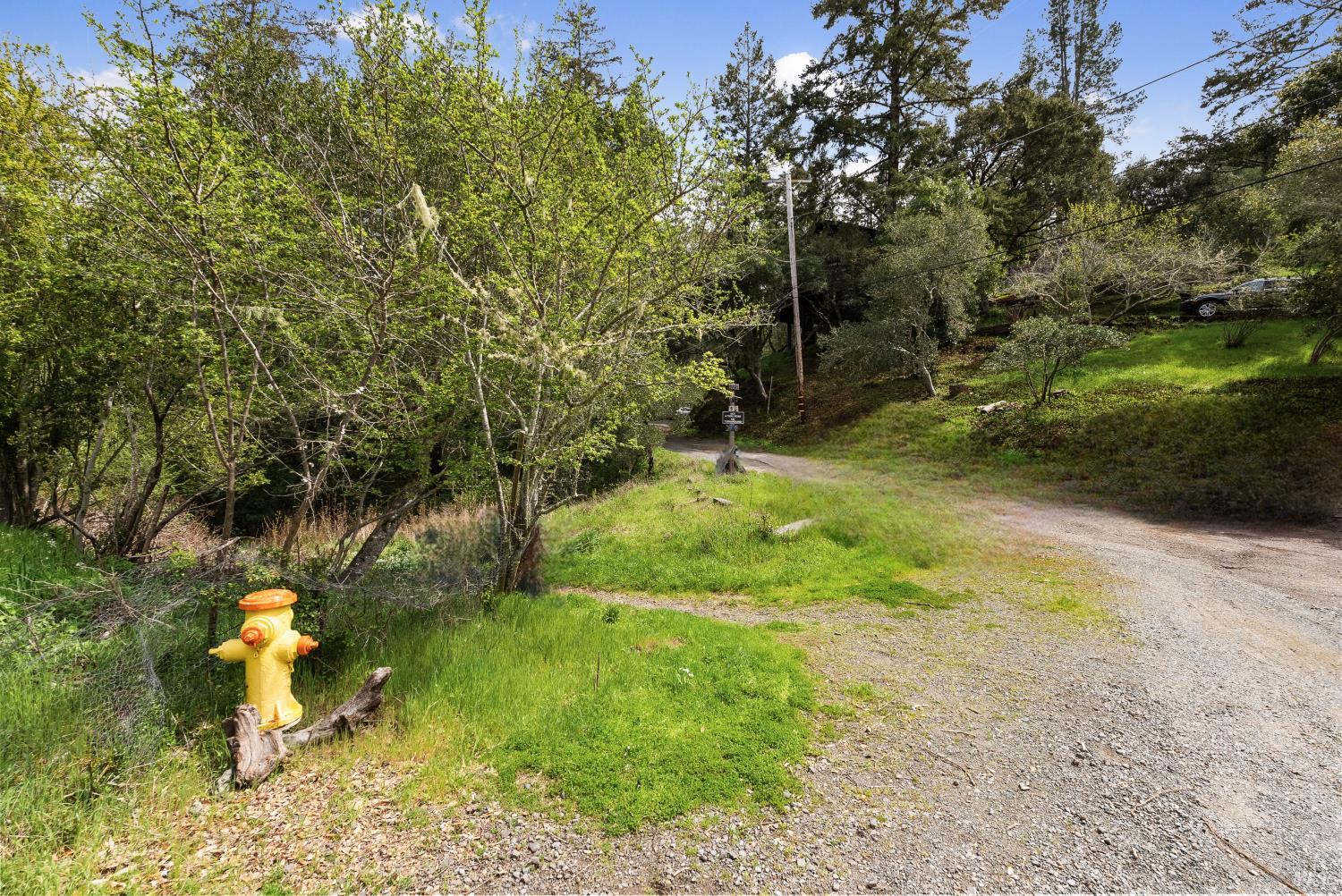 Detail Gallery Image 16 of 21 For 305 Resaca Ave, Forest Knolls,  CA 94133 - – Beds | – Baths