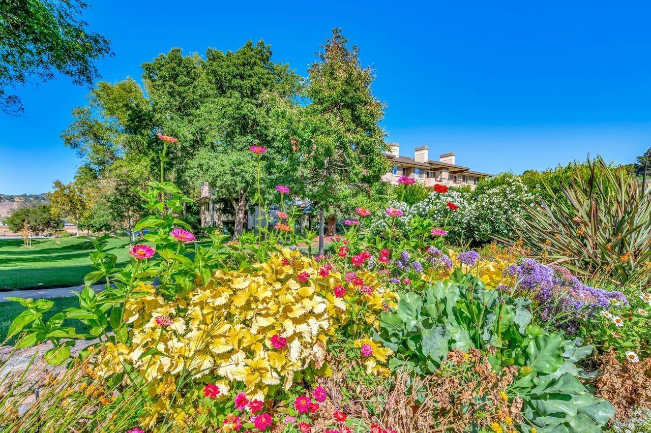 Detail Gallery Image 15 of 27 For 300 Deer Valley Rd 4e,  San Rafael,  CA 94903 - 1 Beds | 1 Baths