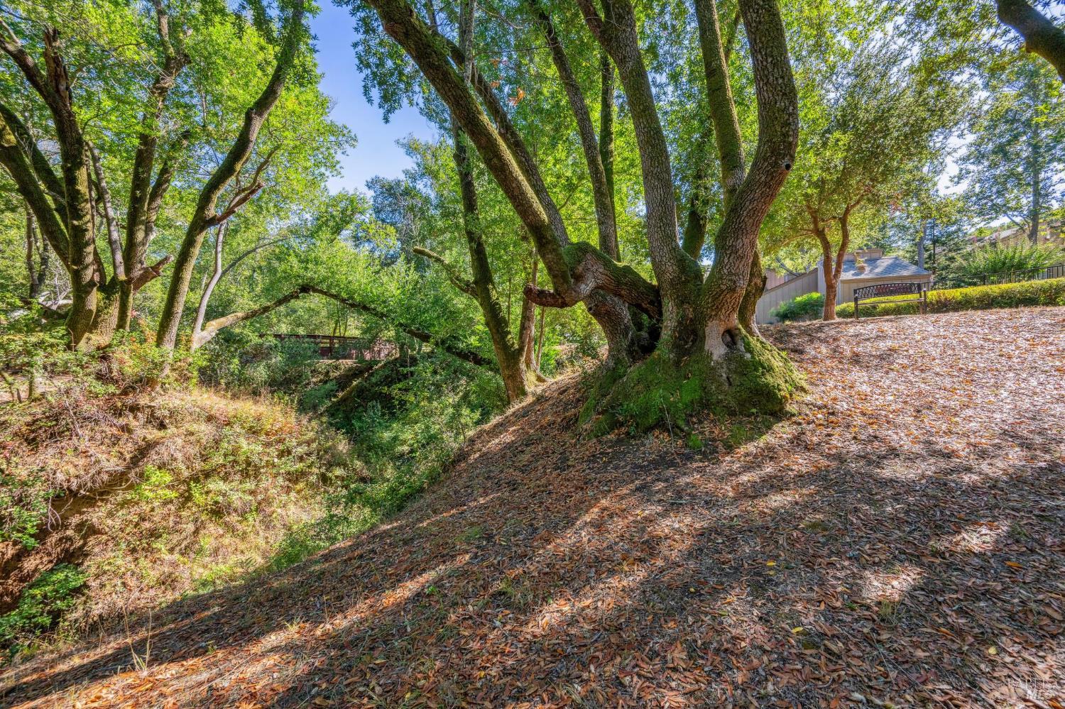 Detail Gallery Image 48 of 51 For 53 Flicker Dr, Novato,  CA 94949 - 3 Beds | 2/1 Baths