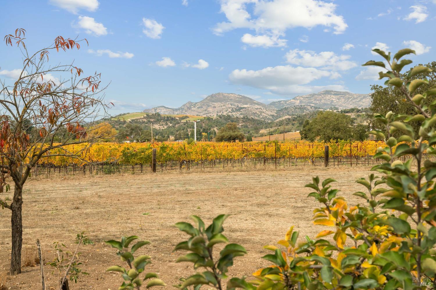 Detail Gallery Image 39 of 48 For 4171 Silverado Trl, Napa,  CA 94558 - 3 Beds | 2 Baths