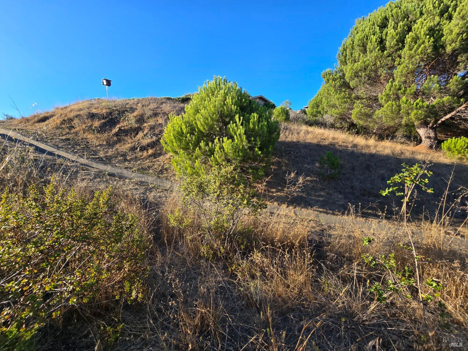 Detail Gallery Image 13 of 15 For 53 Mercury Ave, Tiburon,  CA 94920 - 3 Beds | 1 Baths
