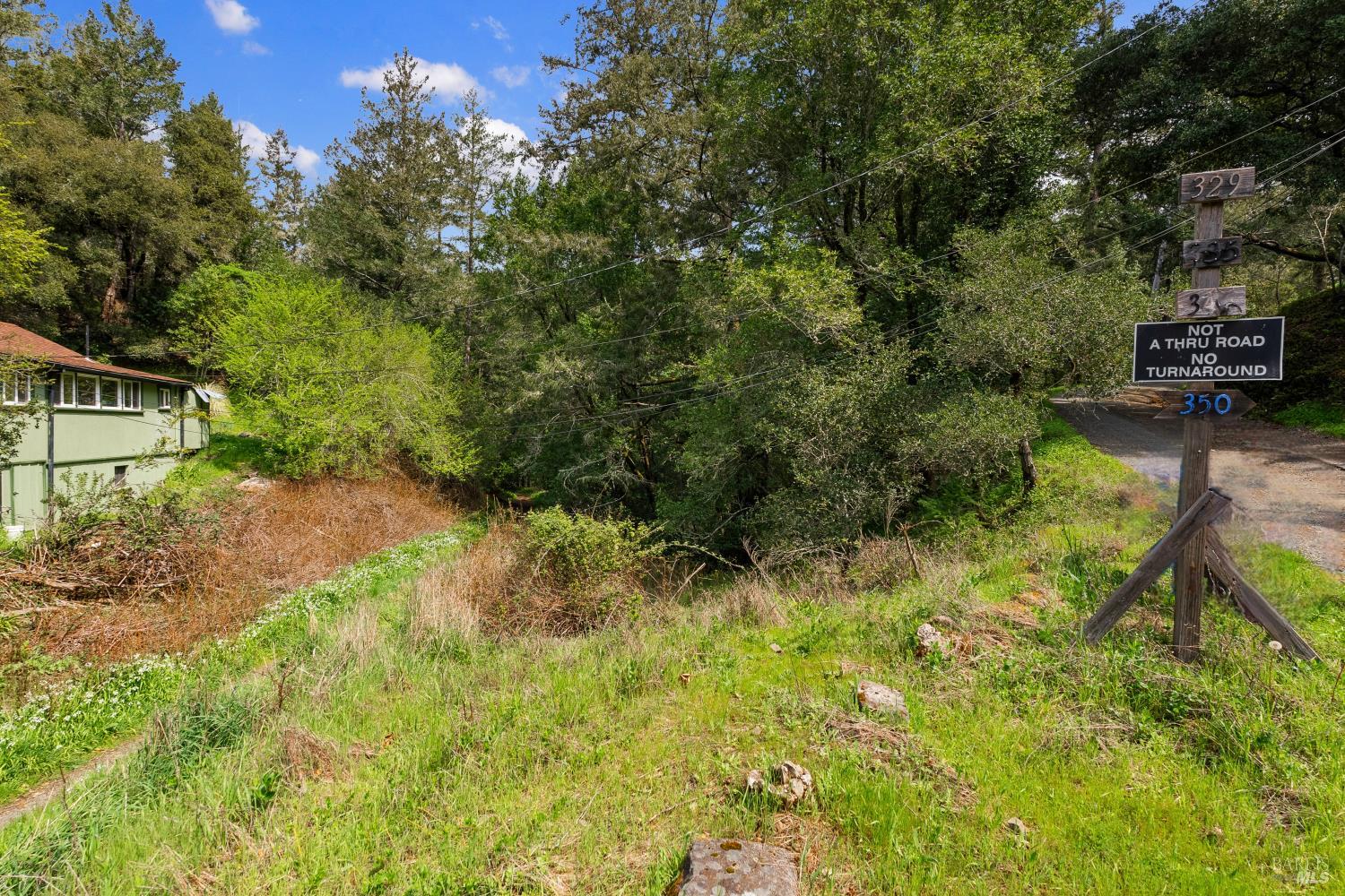 Detail Gallery Image 9 of 21 For 305 Resaca Ave, Forest Knolls,  CA 94133 - – Beds | – Baths