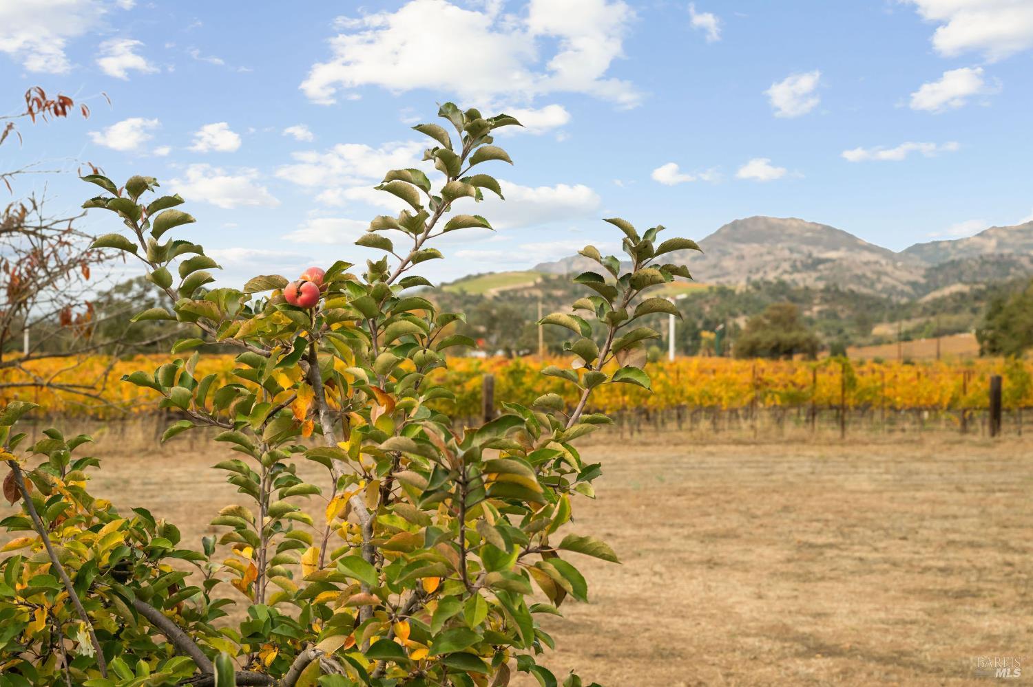 Detail Gallery Image 38 of 48 For 4171 Silverado Trl, Napa,  CA 94558 - 3 Beds | 2 Baths