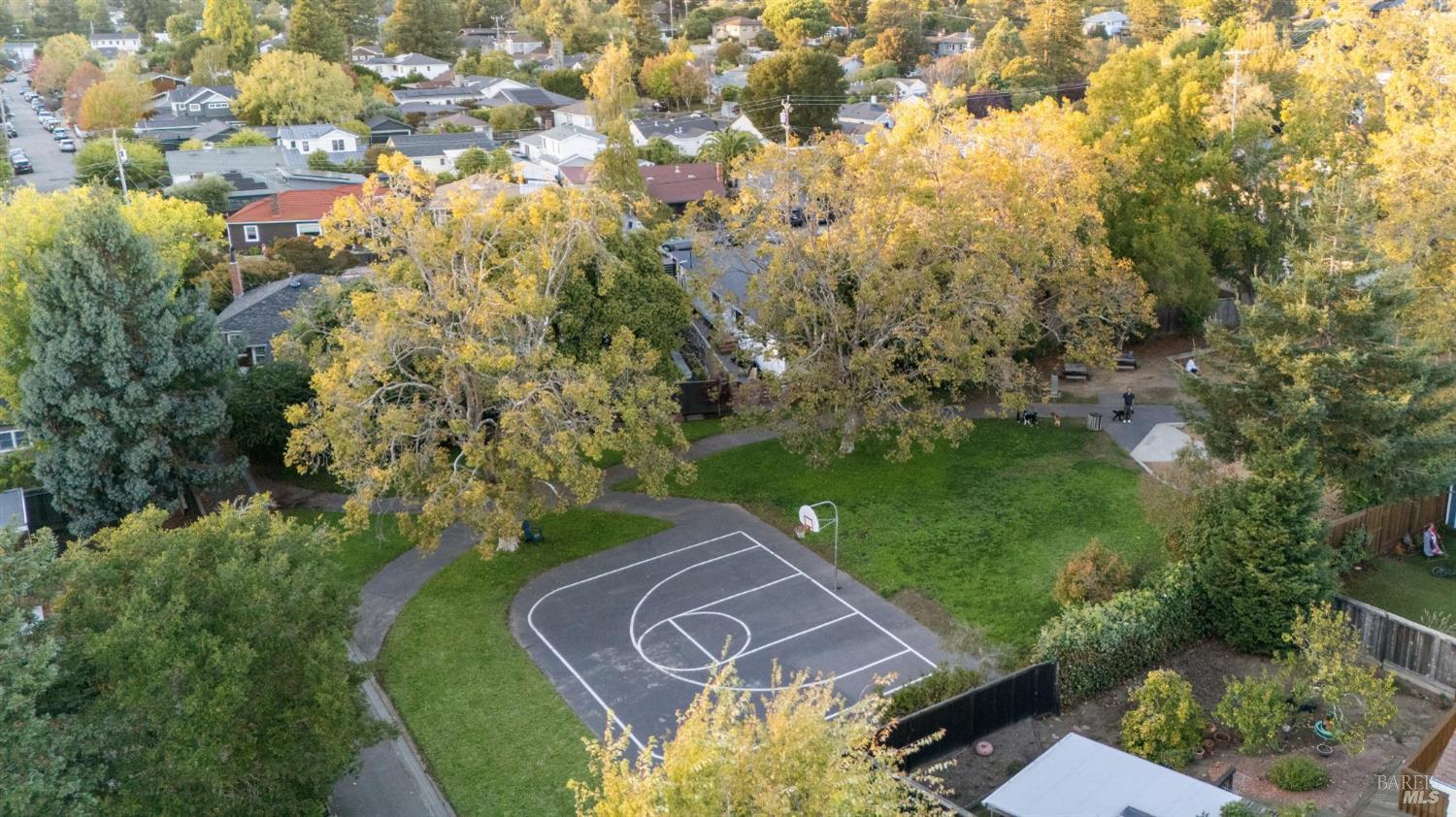 Detail Gallery Image 61 of 62 For 78 Nelson Ave, Mill Valley,  CA 94941 - 4 Beds | 3/1 Baths