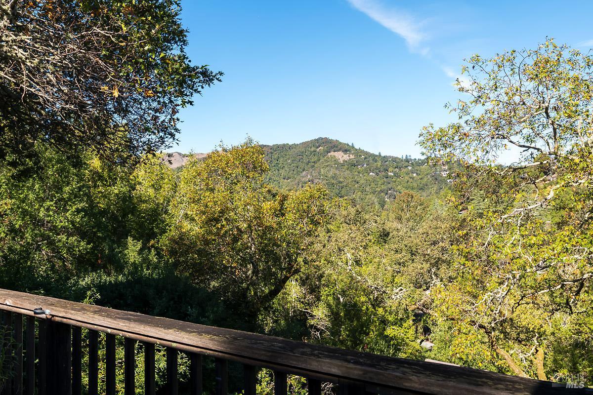 Detail Gallery Image 23 of 29 For 74 Spring Ln, Fairfax,  CA 94930 - 3 Beds | 2 Baths