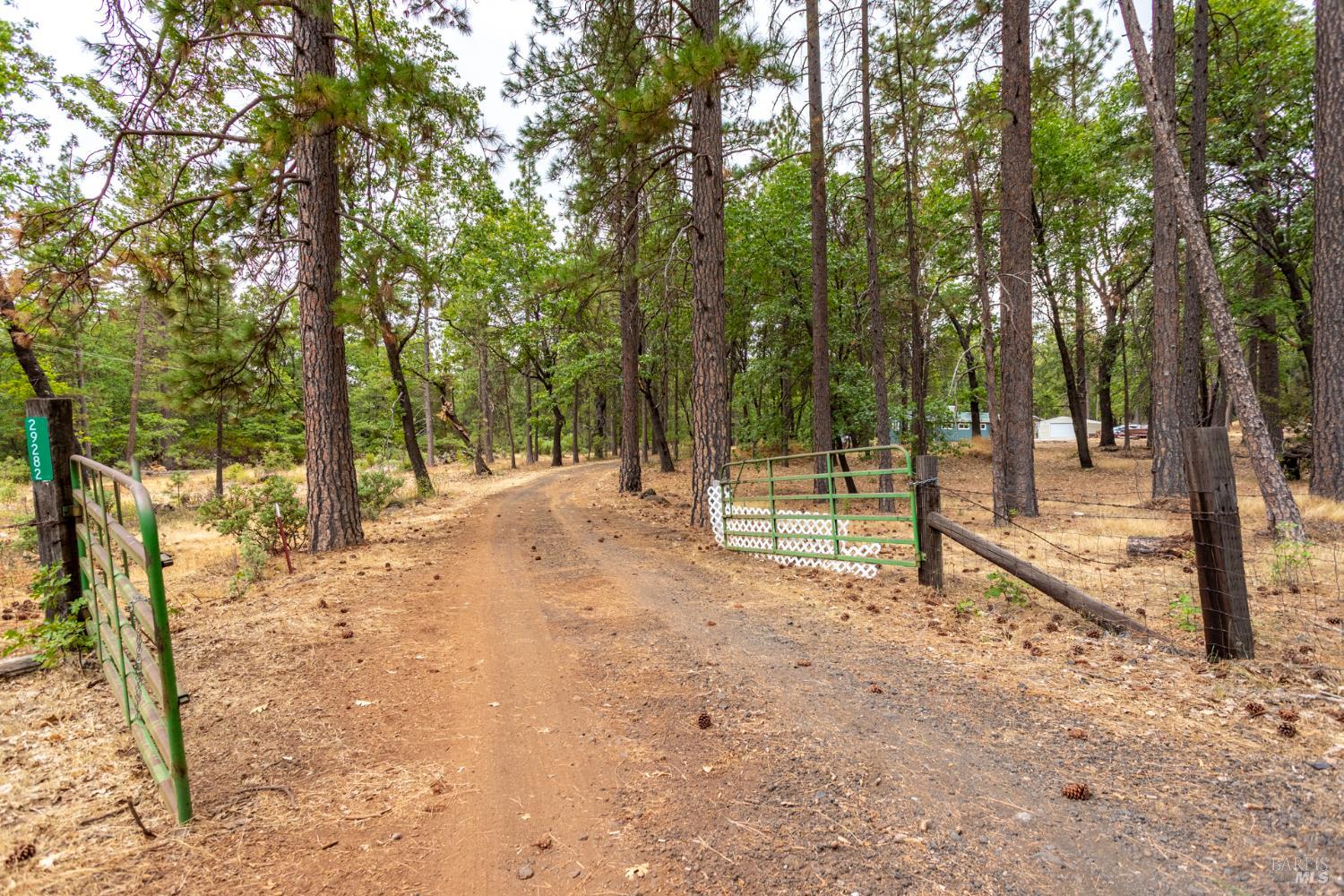 Detail Gallery Image 26 of 28 For 29282 Laurel Tree Ln, Shingletown,  CA 96088 - 3 Beds | 2 Baths