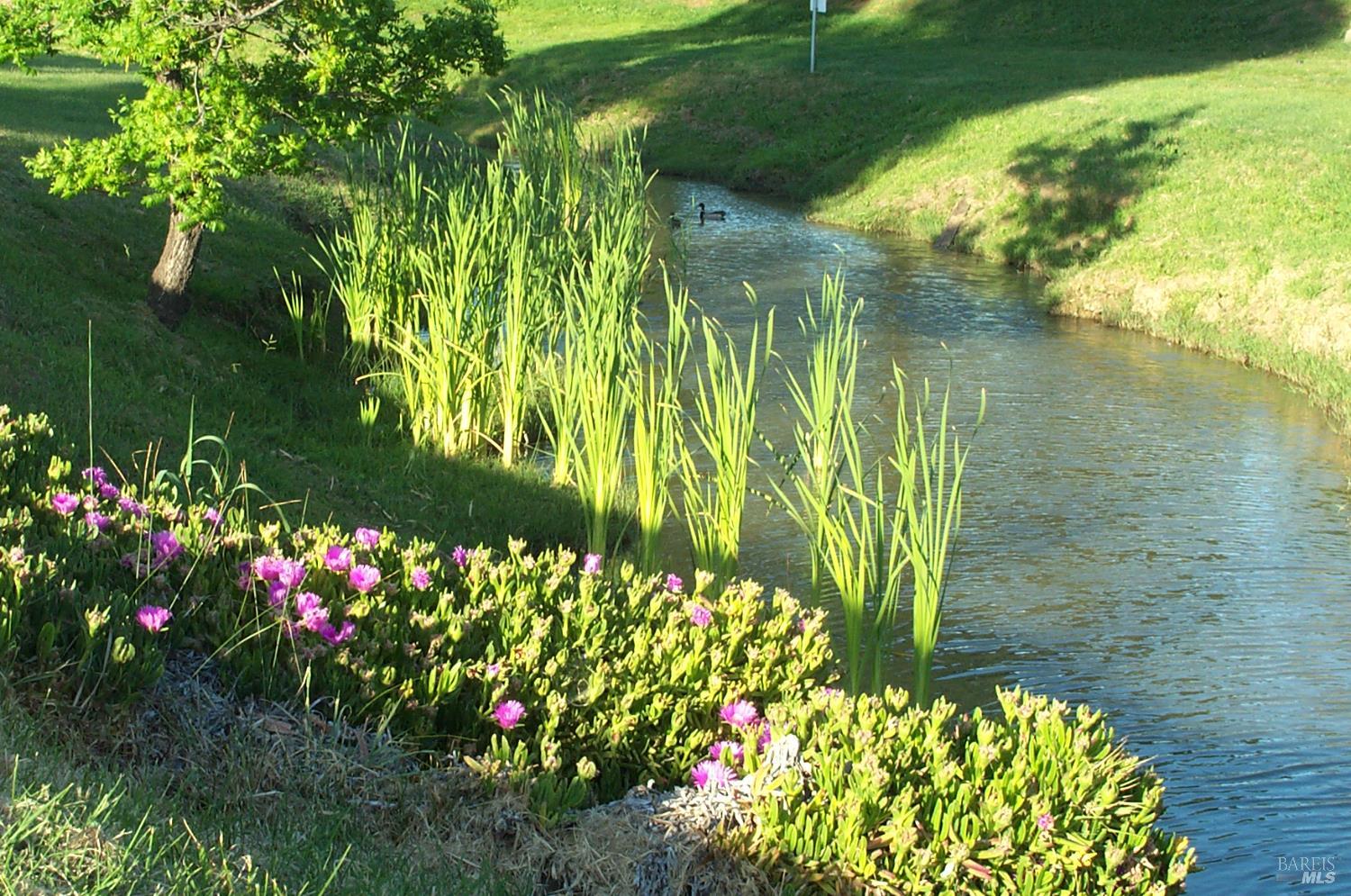 Detail Gallery Image 48 of 57 For 212 Valencia Dr, Fairfield,  CA 94533 - 3 Beds | 2 Baths