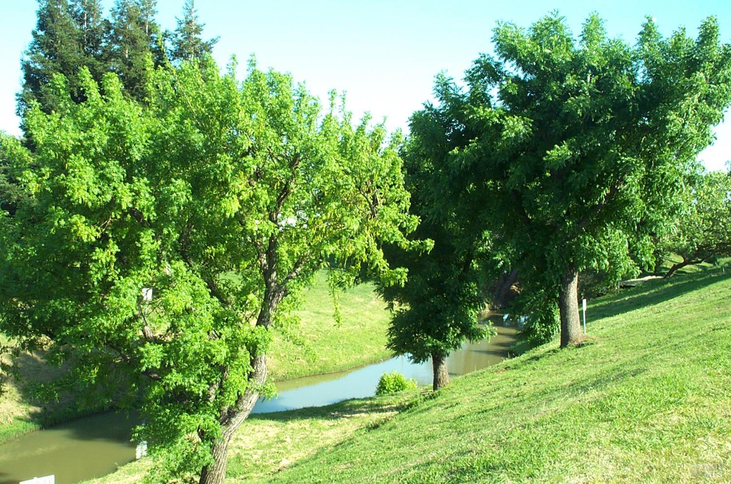 Detail Gallery Image 49 of 57 For 212 Valencia Dr, Fairfield,  CA 94533 - 3 Beds | 2 Baths