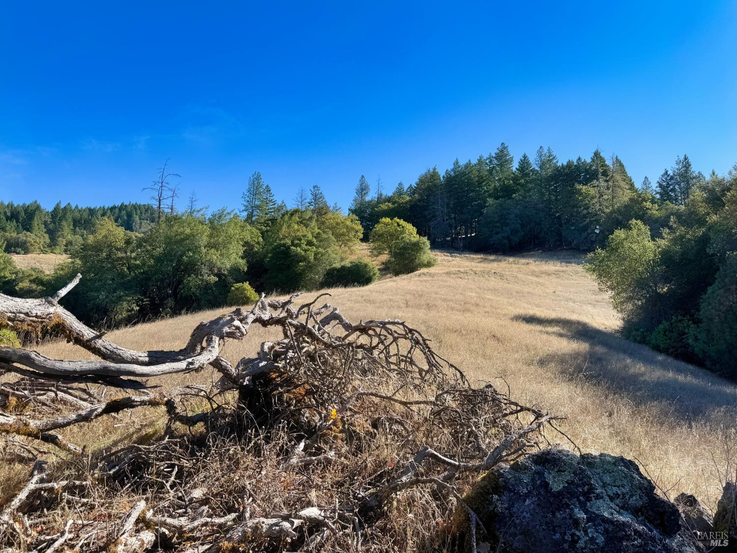 Detail Gallery Image 11 of 32 For 18225 Scenic Dr, Redwood Valley,  CA 95470 - – Beds | – Baths