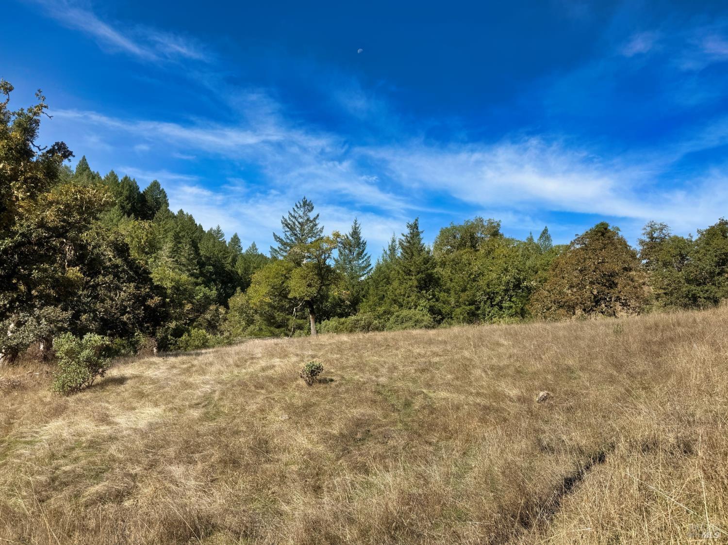 Detail Gallery Image 25 of 32 For 18225 Scenic Dr, Redwood Valley,  CA 95470 - – Beds | – Baths