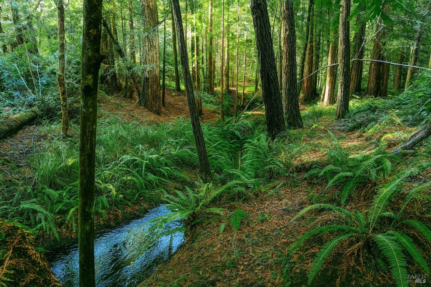 Detail Gallery Image 8 of 19 For Address Is Not Disclosed, Mendocino,  CA 95460 - – Beds | – Baths