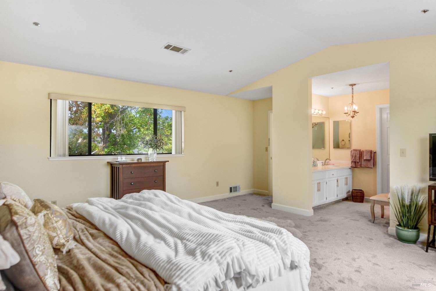 Detail Gallery Image 18 of 24 For 1639 San Vicente Ave, Napa,  CA 94558 - 3 Beds | 2 Baths