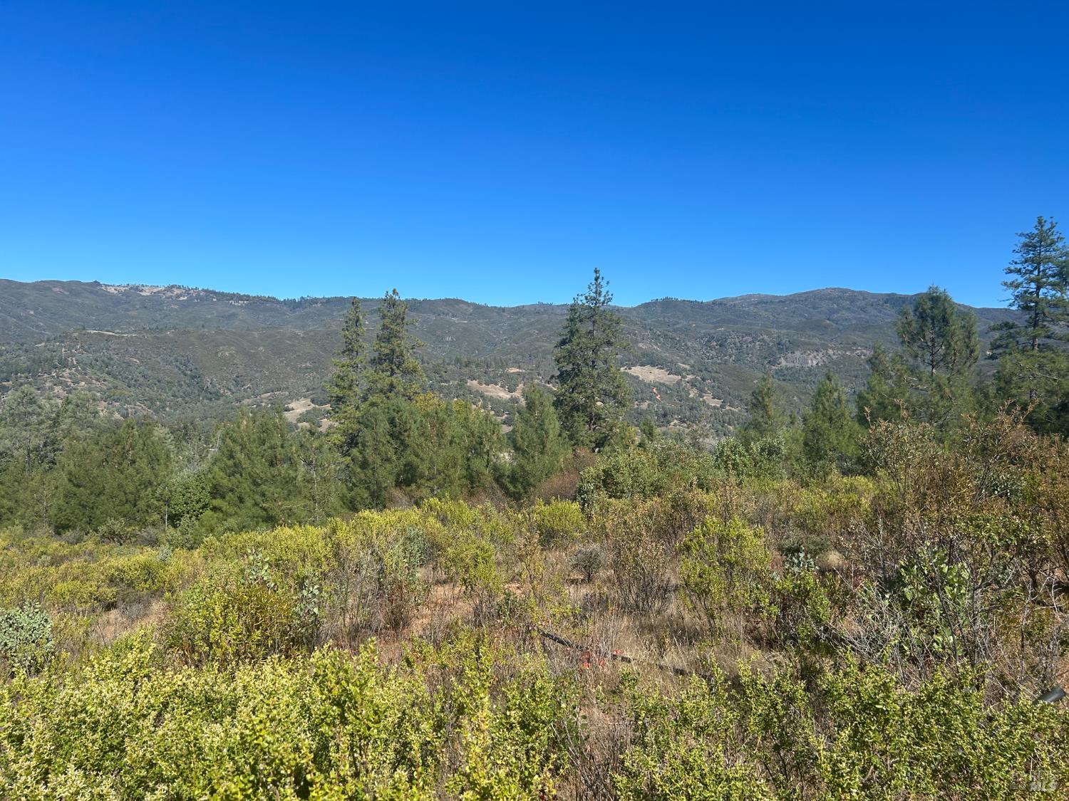 Detail Gallery Image 3 of 14 For 1725 Clover Valley Rd, Upper Lake,  CA 95485 - – Beds | – Baths