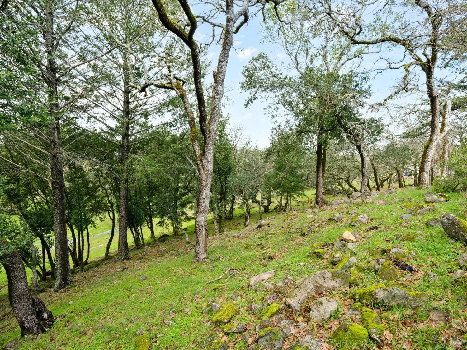 Detail Gallery Image 14 of 21 For 2924 Old Bennett Ridge Rd, Santa Rosa,  CA 95404 - – Beds | – Baths