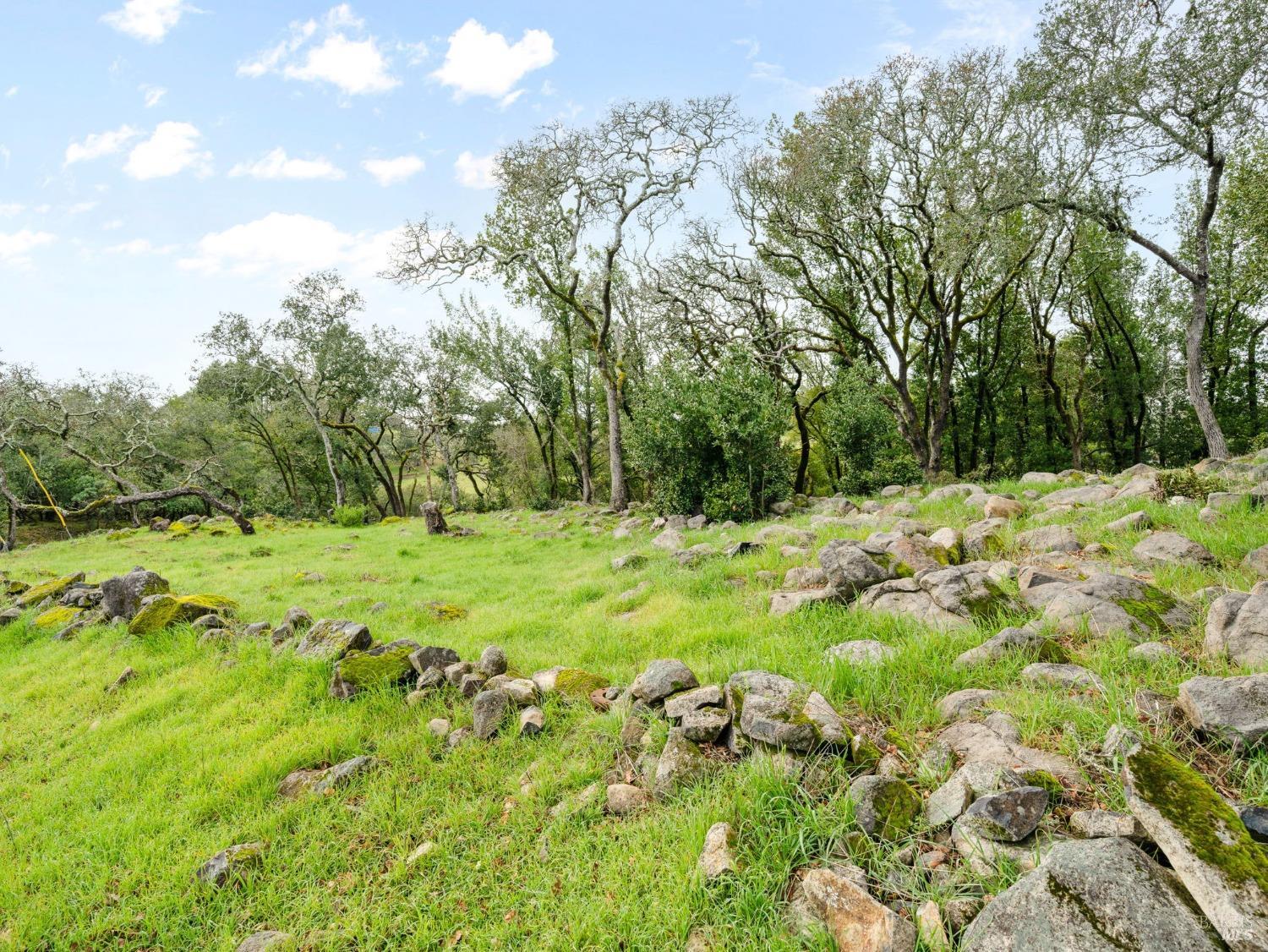 Detail Gallery Image 11 of 21 For 2924 Old Bennett Ridge Rd, Santa Rosa,  CA 95404 - – Beds | – Baths