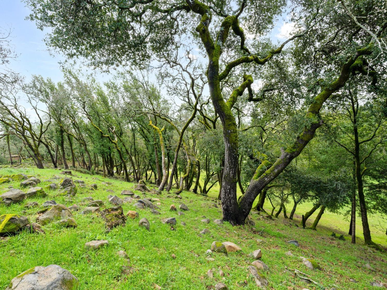 Detail Gallery Image 12 of 21 For 2924 Old Bennett Ridge Rd, Santa Rosa,  CA 95404 - – Beds | – Baths