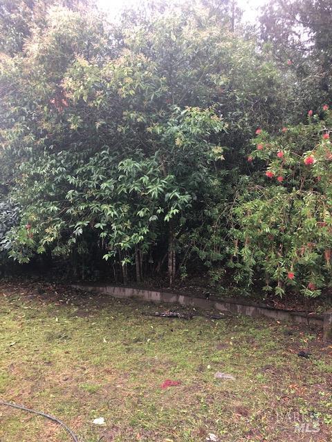 Detail Gallery Image 23 of 25 For 7251 Fircrest Ave, Sebastopol,  CA 95472 - 2 Beds | 2 Baths