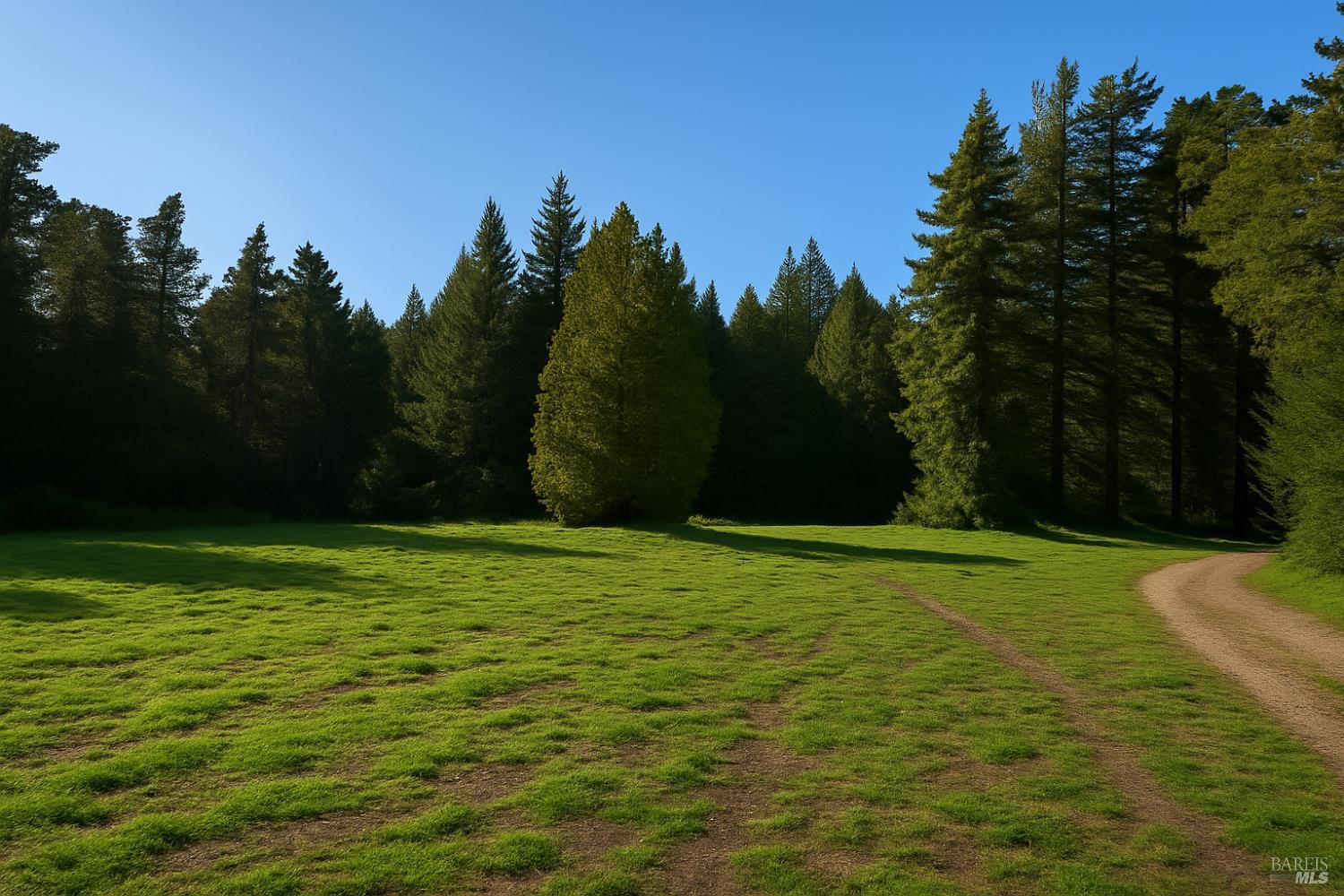 Front Image Thumbnail for BA325047846