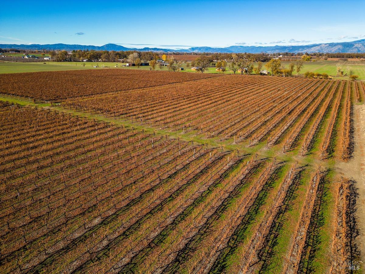 Detail Gallery Image 5 of 26 For 4150 Gaddy Ln, Kelseyville,  CA 95451 - – Beds | – Baths