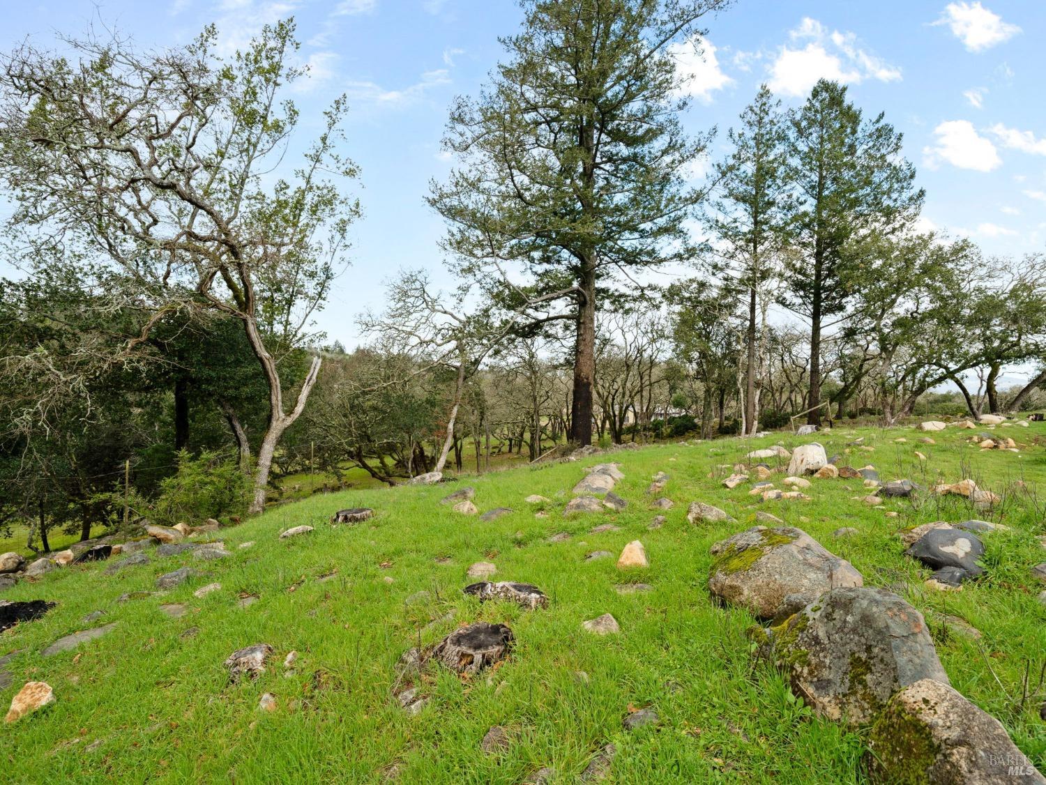 Detail Gallery Image 17 of 21 For 2924 Old Bennett Ridge Rd, Santa Rosa,  CA 95404 - – Beds | – Baths