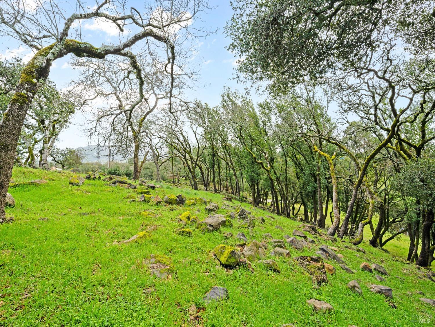 Detail Gallery Image 13 of 21 For 2924 Old Bennett Ridge Rd, Santa Rosa,  CA 95404 - – Beds | – Baths