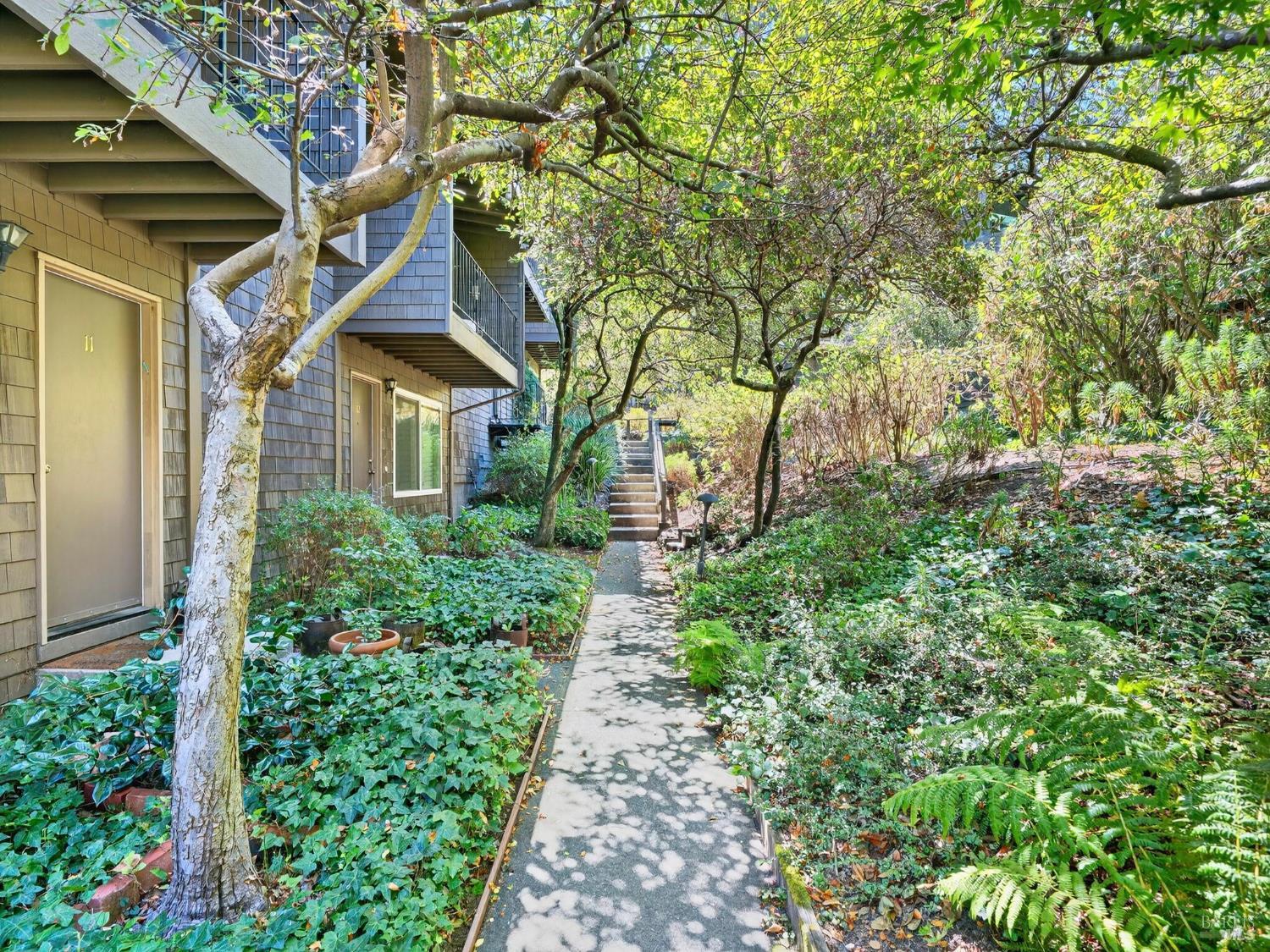 Detail Gallery Image 17 of 25 For 1411 Casa Buena Dr #14,  Corte Madera,  CA 94925 - 3 Beds | 1/1 Baths