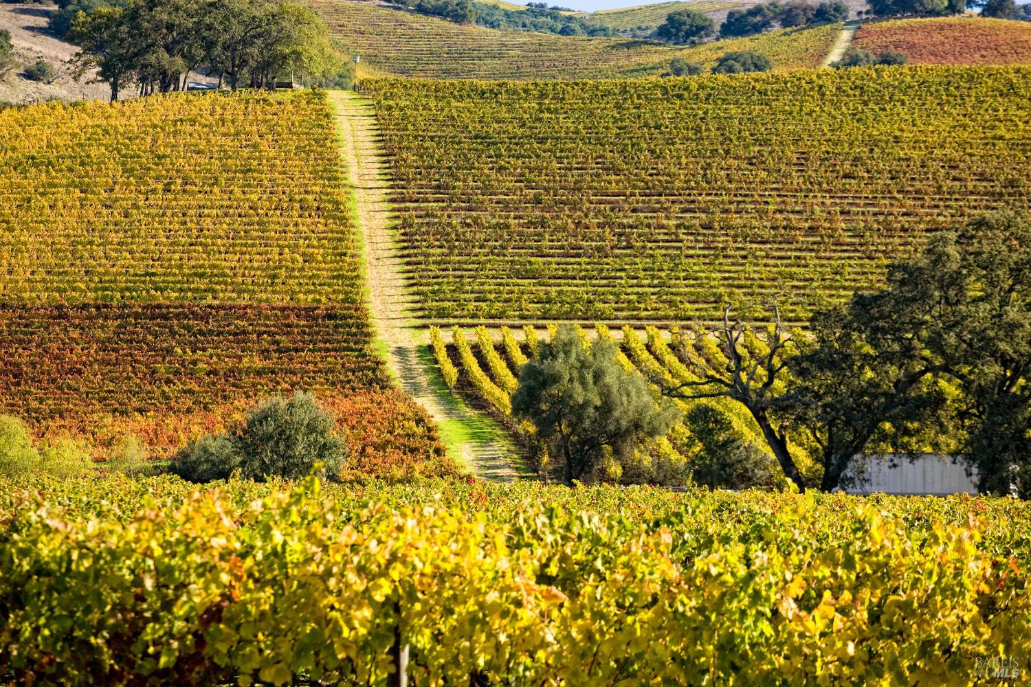 Detail Gallery Image 64 of 70 For 2399 Sobre Vista Rd, Sonoma,  CA 95476 - 4 Beds | 3/1 Baths