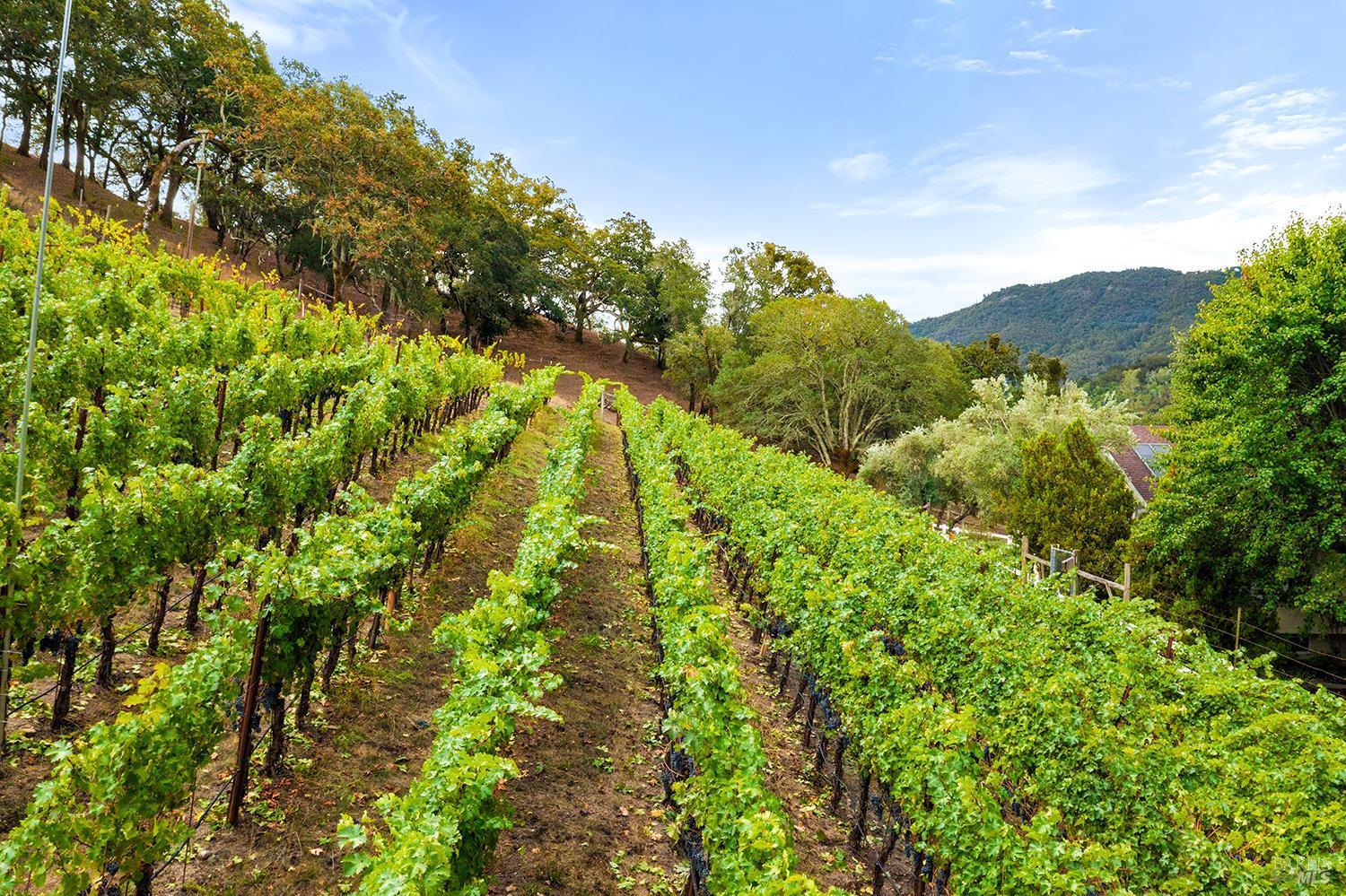 Detail Gallery Image 46 of 63 For 2550 Warm Springs Rd, Glen Ellen,  CA 95442 - 3 Beds | 3 Baths