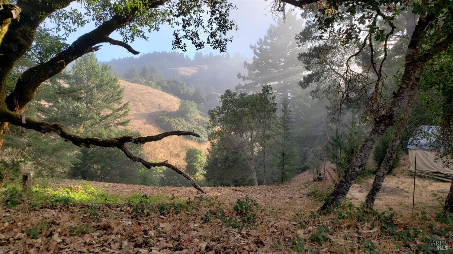 Detail Gallery Image 48 of 57 For 2333 Guntley Rd, Philo,  CA 95466 - 4 Beds | 2 Baths