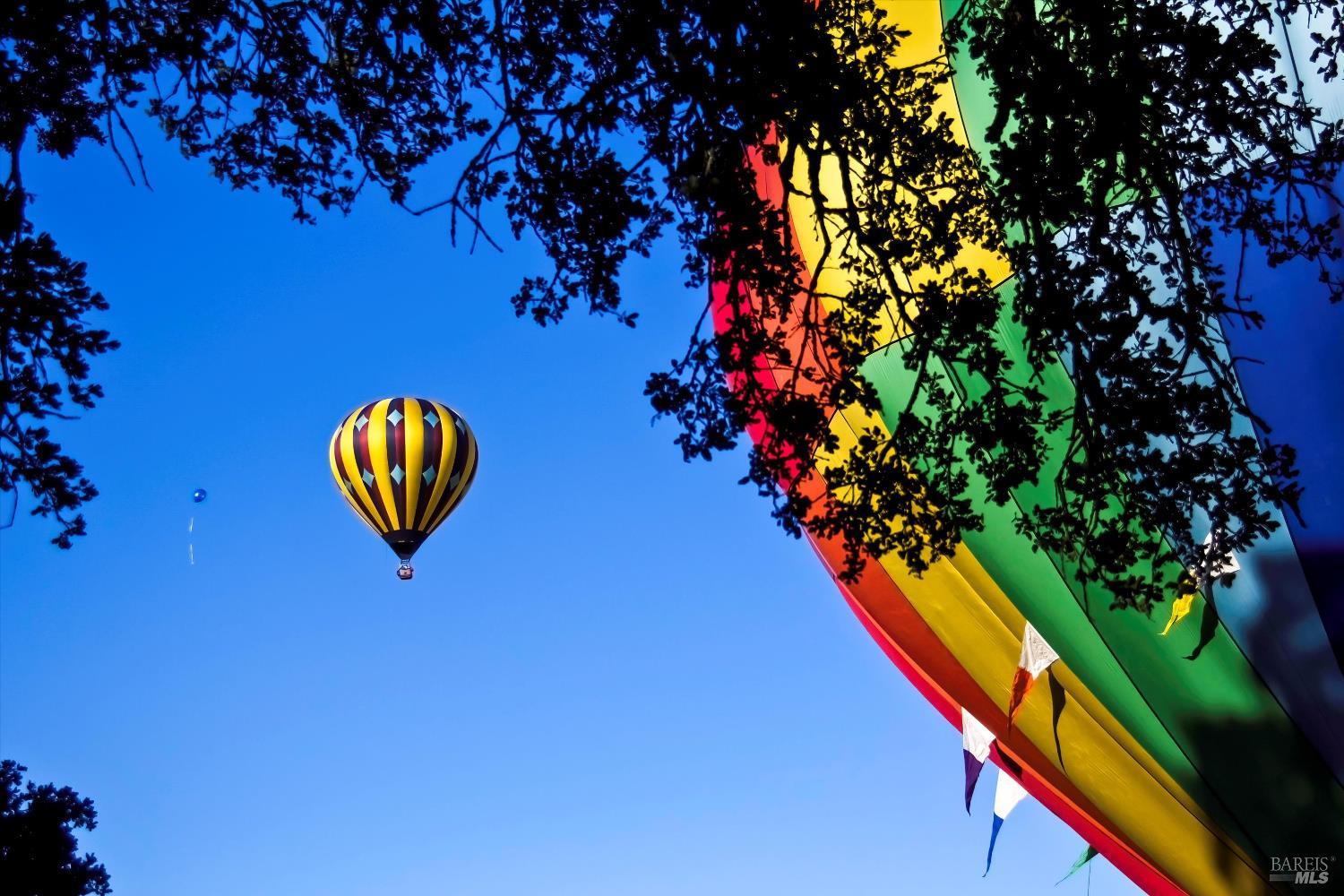 Detail Gallery Image 55 of 59 For 18445 1st Ave, Sonoma,  CA 95476 - 2 Beds | 2 Baths