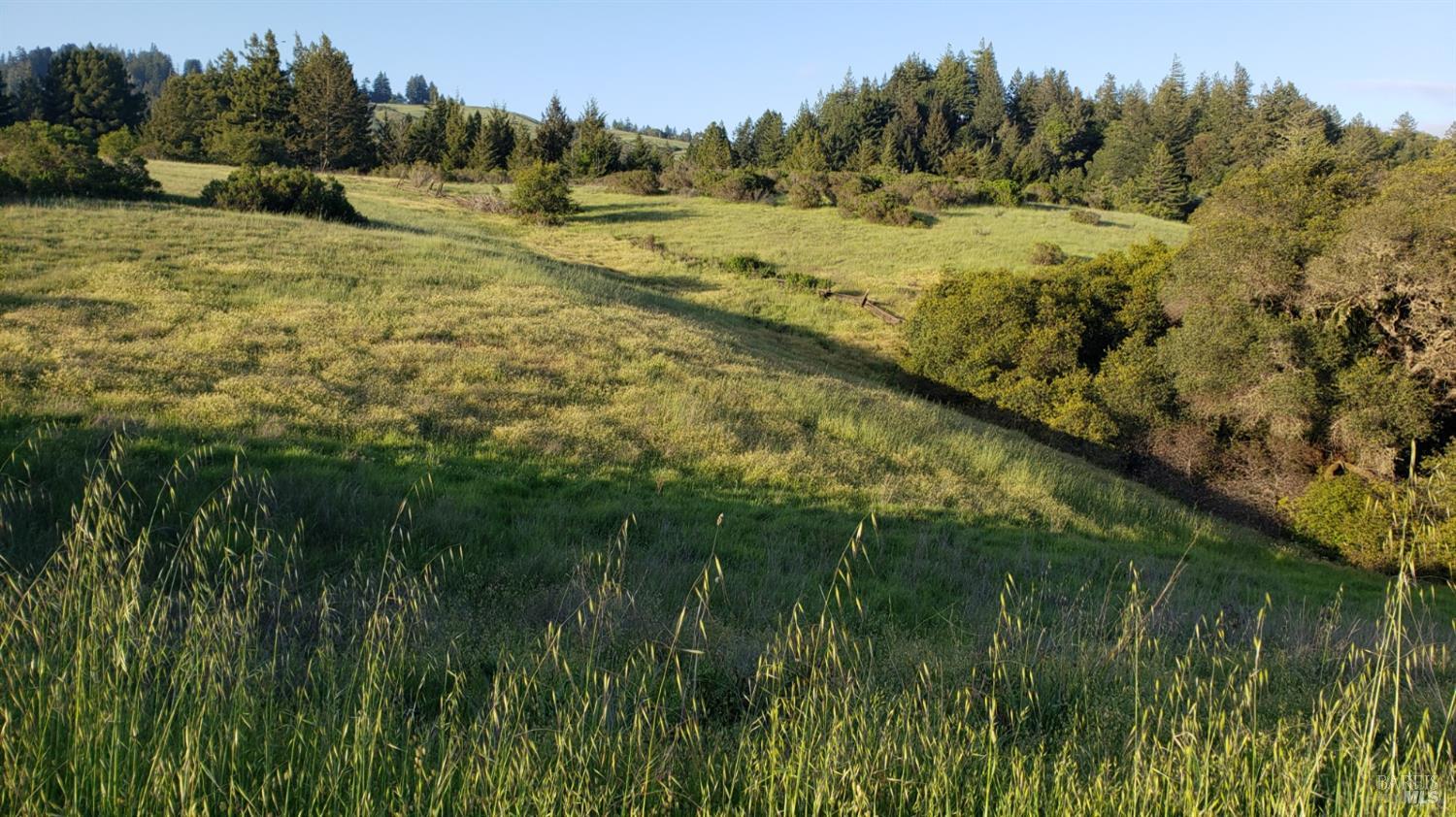 Detail Gallery Image 53 of 57 For 2333 Guntley Rd, Philo,  CA 95466 - 4 Beds | 2 Baths