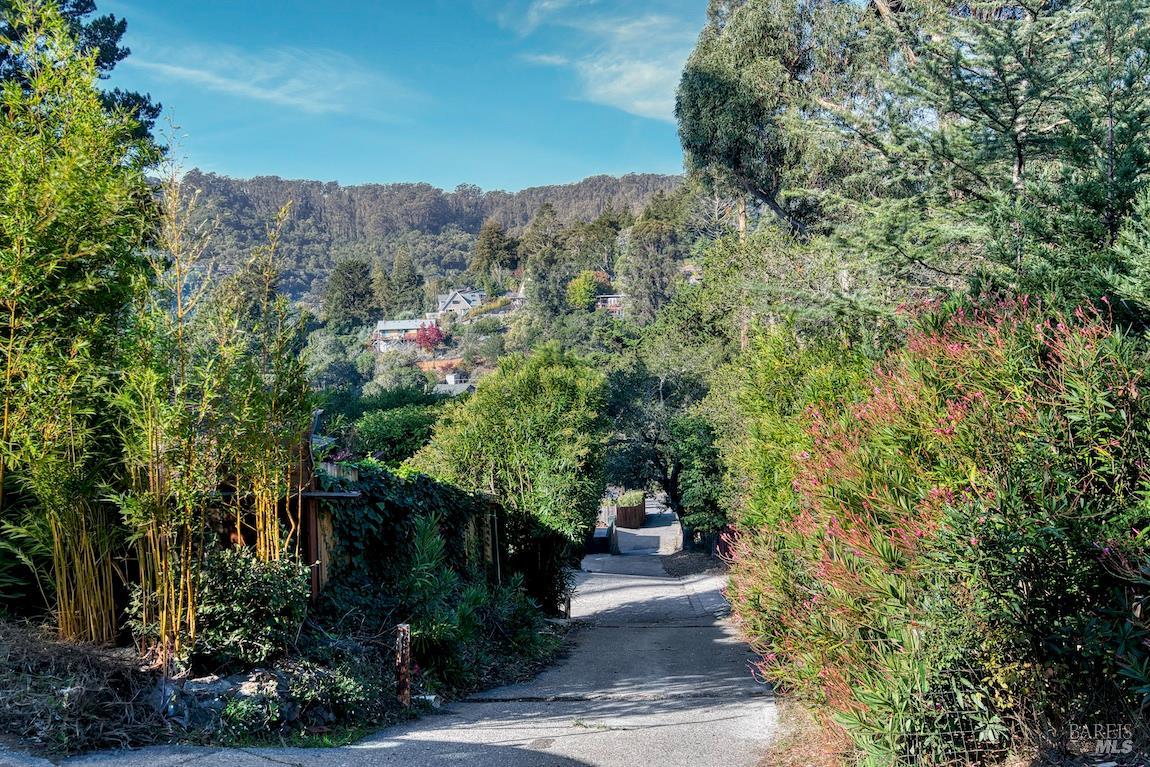 Detail Gallery Image 36 of 47 For 20 Poppy Ln, Mill Valley,  CA 94941 - 3 Beds | 2 Baths