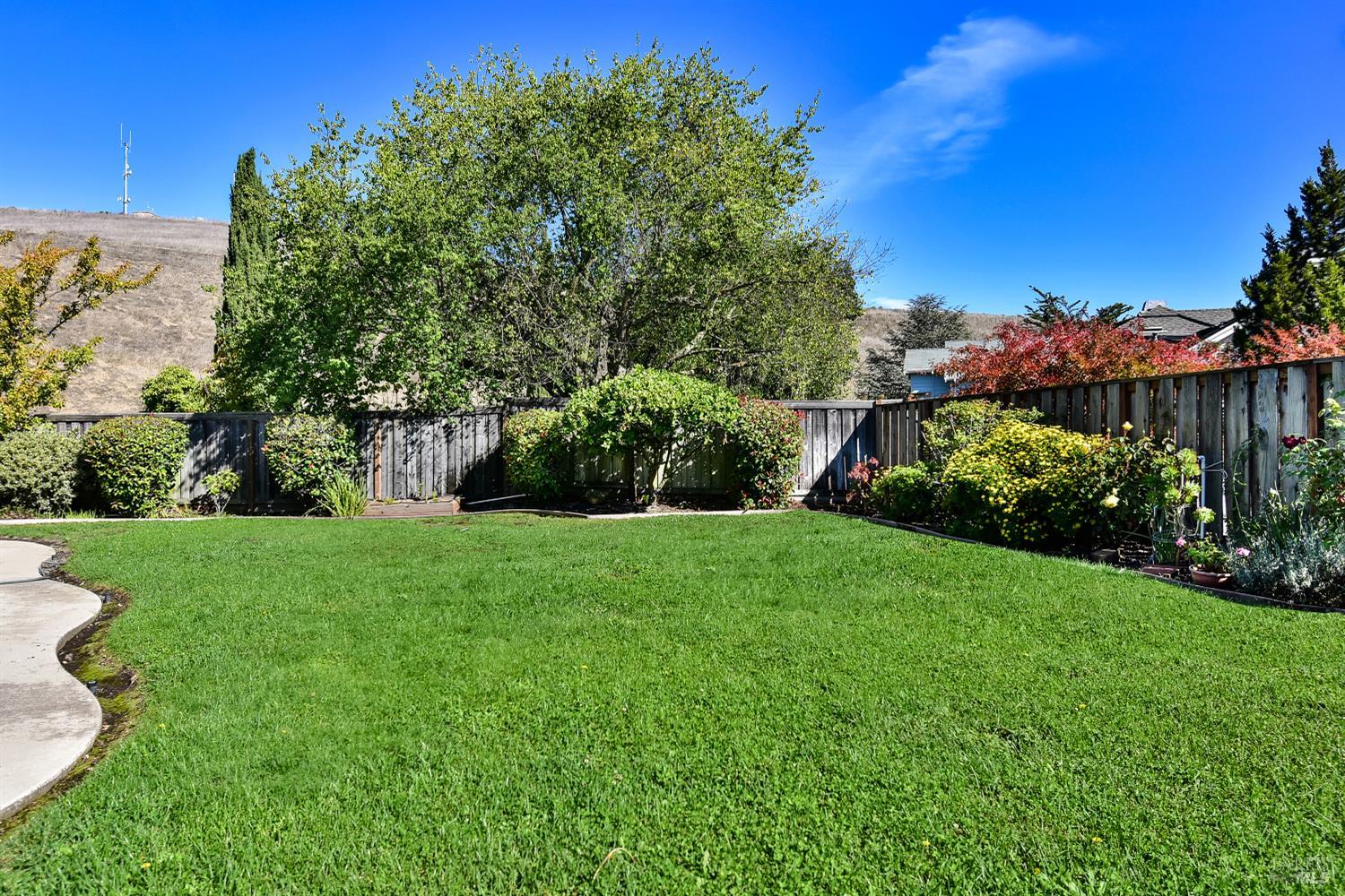 Detail Gallery Image 9 of 24 For 2728 Terry Ct, Pinole,  CA 94564 - 3 Beds | 2/1 Baths