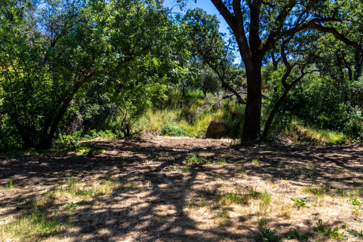 Detail Gallery Image 3 of 15 For 0 University St, Cloverdale,  CA 95425 - – Beds | – Baths