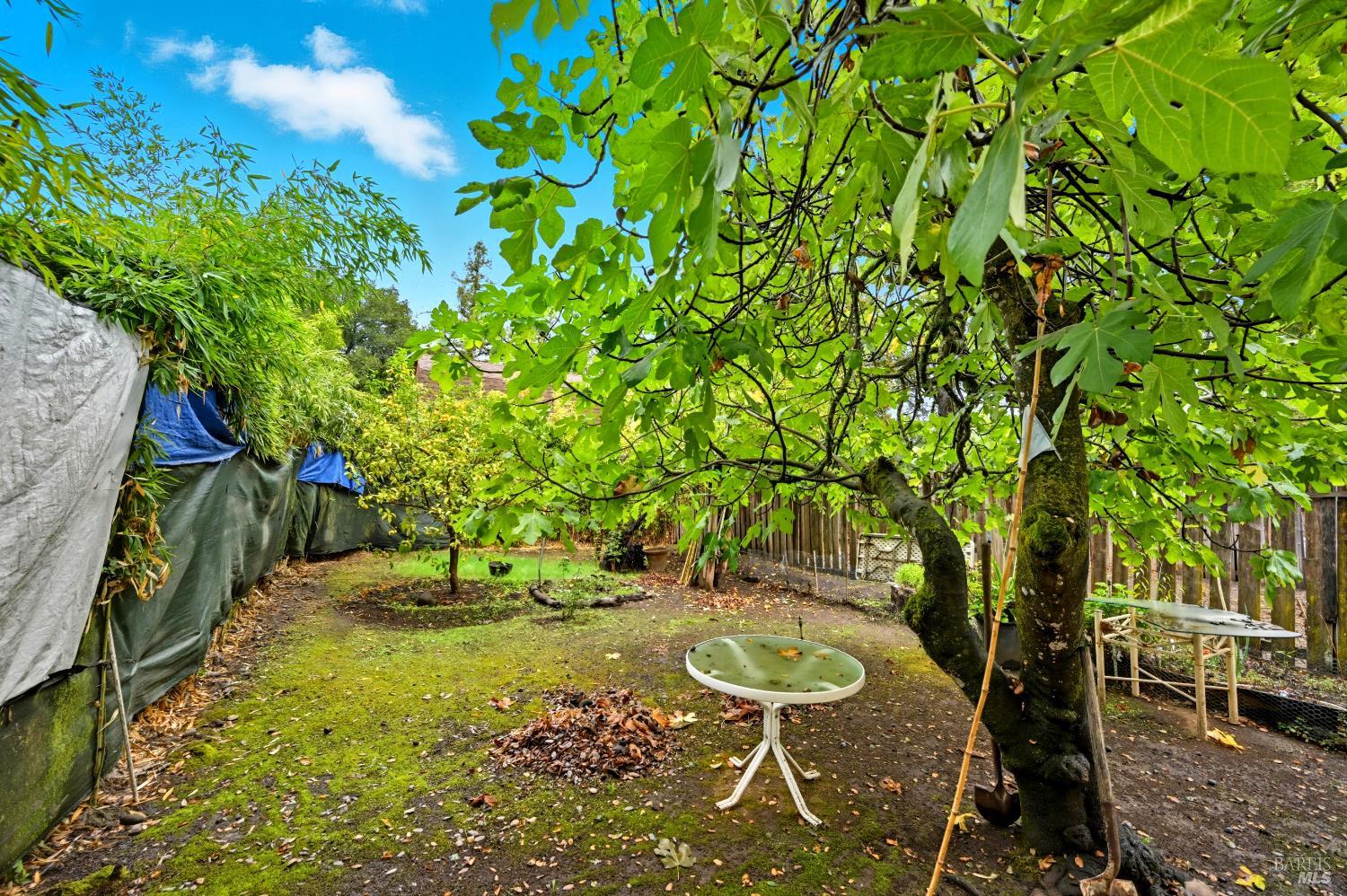 Detail Gallery Image 8 of 31 For 721 Grove St, Sonoma,  CA 95476 - – Beds | – Baths