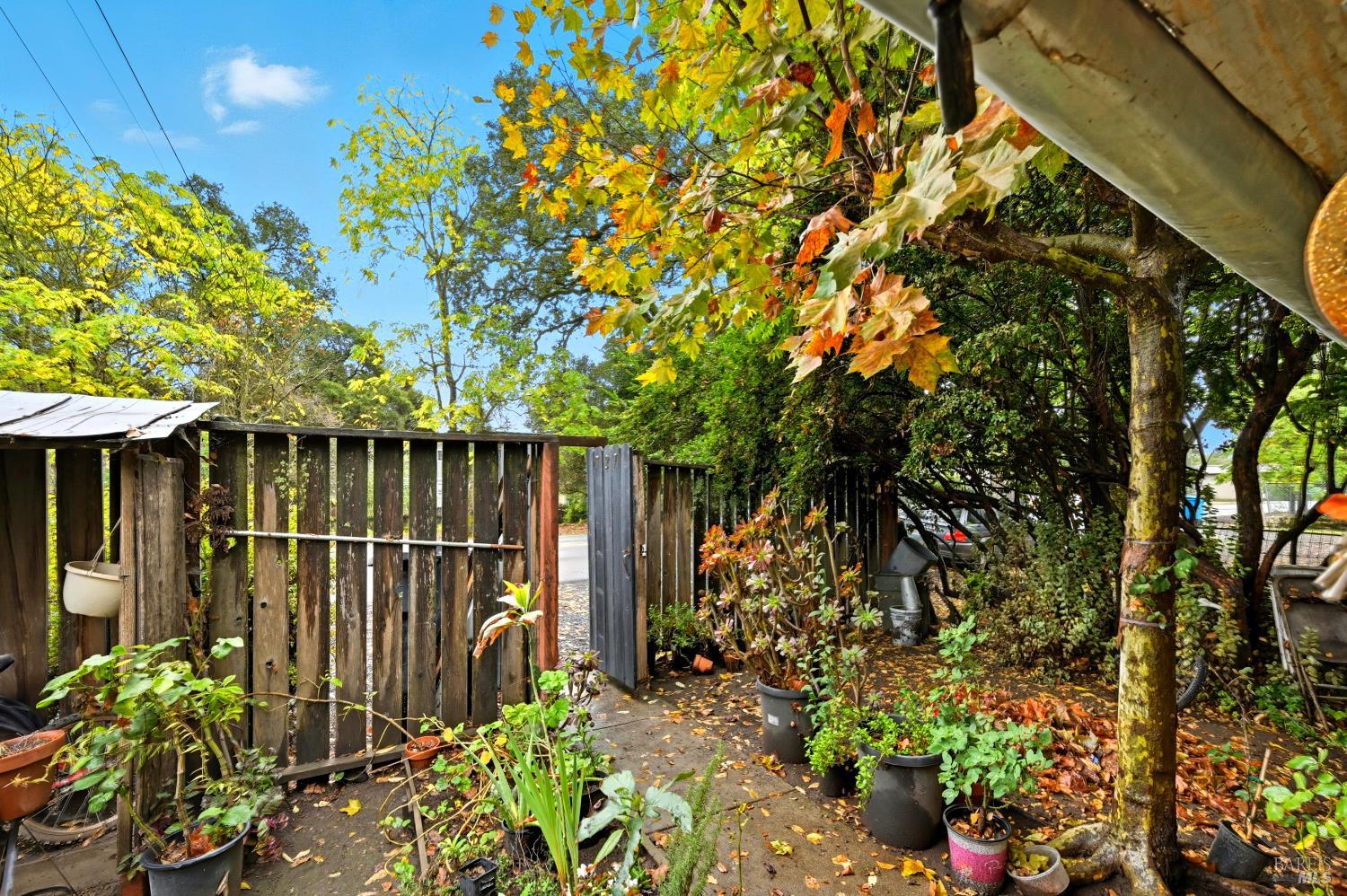 Detail Gallery Image 9 of 31 For 721 Grove St, Sonoma,  CA 95476 - – Beds | – Baths