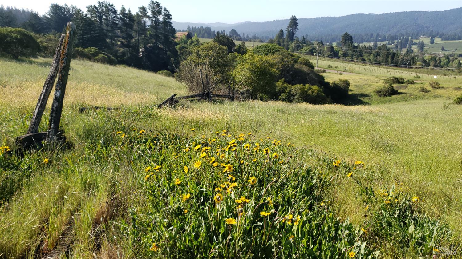 Detail Gallery Image 50 of 57 For 2333 Guntley Rd, Philo,  CA 95466 - 4 Beds | 2 Baths