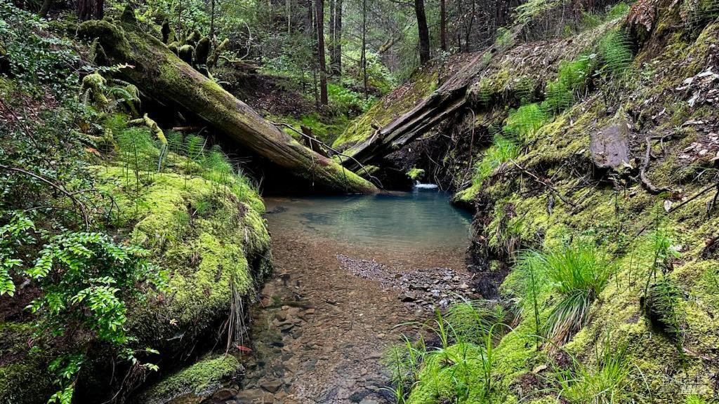 Detail Gallery Image 47 of 57 For 2333 Guntley Rd, Philo,  CA 95466 - 4 Beds | 2 Baths