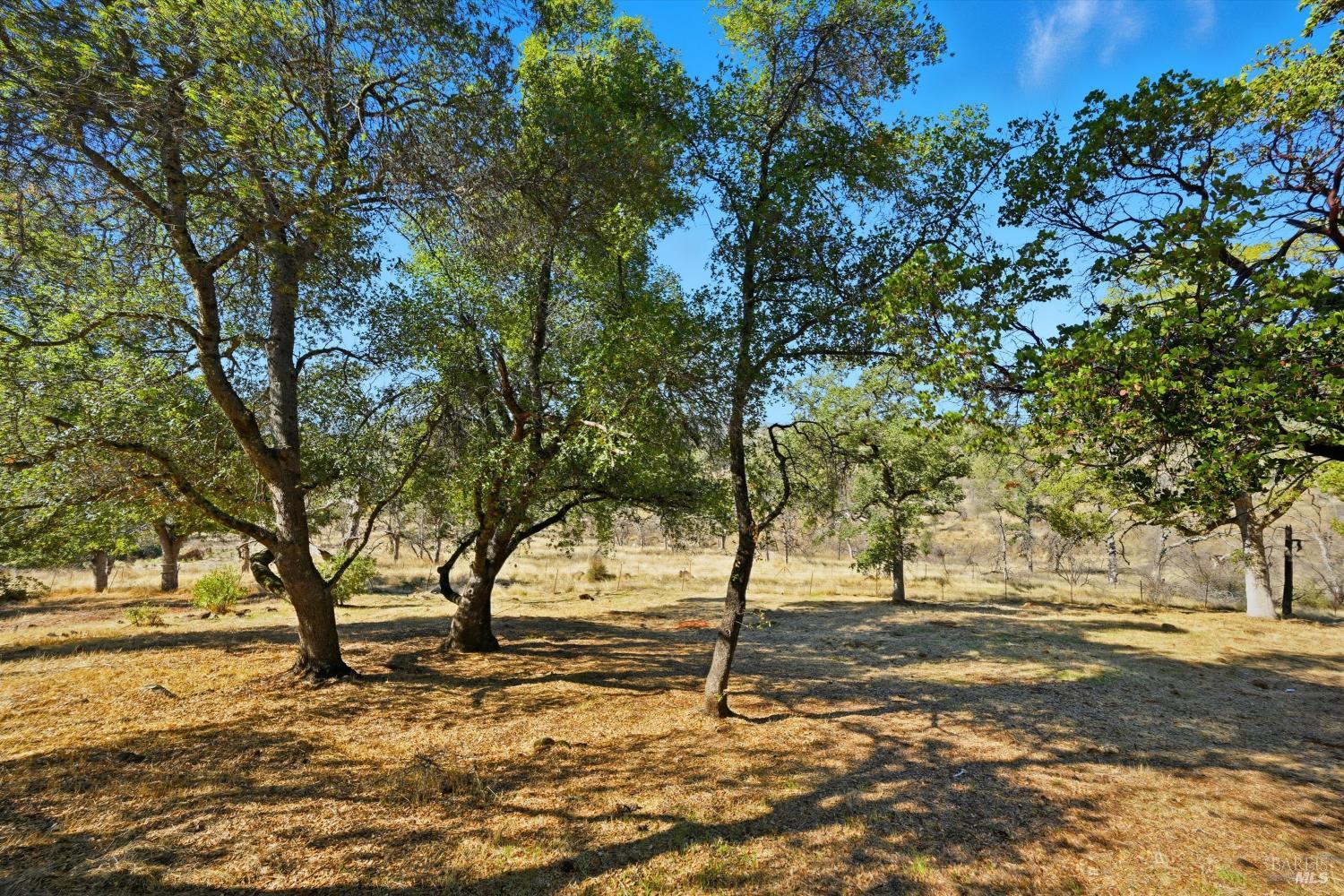 Detail Gallery Image 44 of 47 For 16261 Conestoga Rd, Hidden Valley Lake,  CA 95467 - 3 Beds | 2/1 Baths