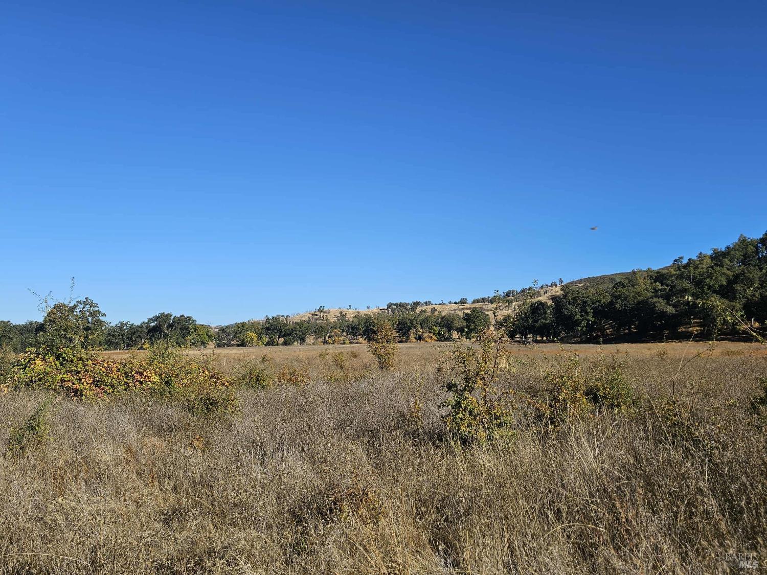 Detail Gallery Image 22 of 29 For 17680 Morgan Valley Rd, Lower Lake,  CA 95457 - – Beds | – Baths